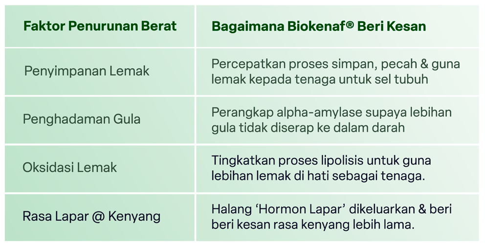 4 faktor penentu turun berat